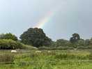 View from the awning, no pot of gold though