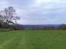 View at the bottom of the main field.