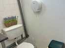 Nice clean toilets