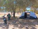 Tent place