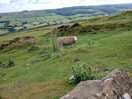 Gateway to the moors