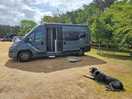 Hector the greyhound and daisy the campervan