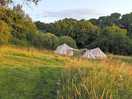 Bell tents in meadow