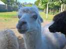Is this my good side