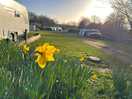 Campsite