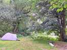 My tent at far end of the field