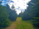Our short walk to the loos