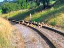 The railway
