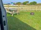 Perfect pitch, lots of space and everything you need - plus it’s own composting toilet!