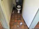 Mens toilets