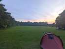 Campsite from my pitch