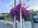 Nice walk towards town