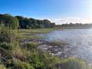 Allen lake