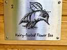 Each pod is named after different bees, an educational bonus for nature lovers.