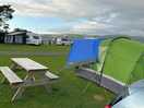 Our pitch