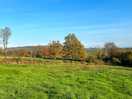 Walk in the country