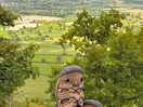 View from admiral rodney’s pillar..