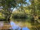 Perfect spot for a morning dip and launch point for kayak at the campsite