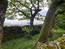 Another view from the site.