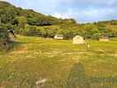 Safari tents to hire