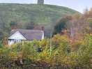 View from the site