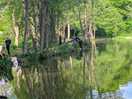 Reflections