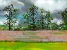 Ipad sketch from our camper van across the mown field.