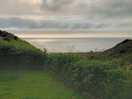 View from dandelion
