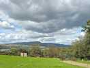 The view