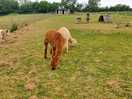 It was nice to be able to get close to the animals