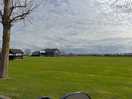 Open field