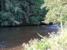 The river