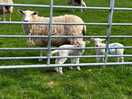 Our neighbours