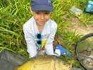Nice little carp