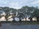 Nice view at night from road side