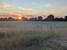 Watching sunset over the fields