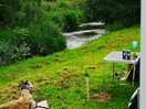 Chilling in the quietness of the flowing river birds singing