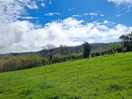 Views from the area