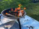 Nice warm fire