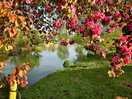 Grounds