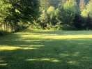 Dog park