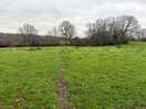 Local fields