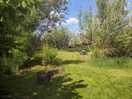 Walking area with picnic benches