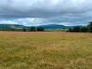 View from the site