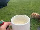 Lovely coffee