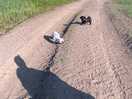 Lovely walks