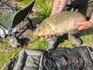 And another common