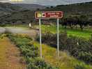 Ruta