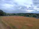 The site