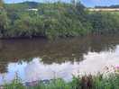 The river